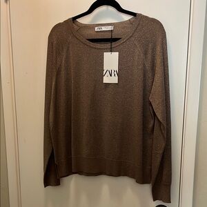 Zara Women's Brown Crew Neck Sweater